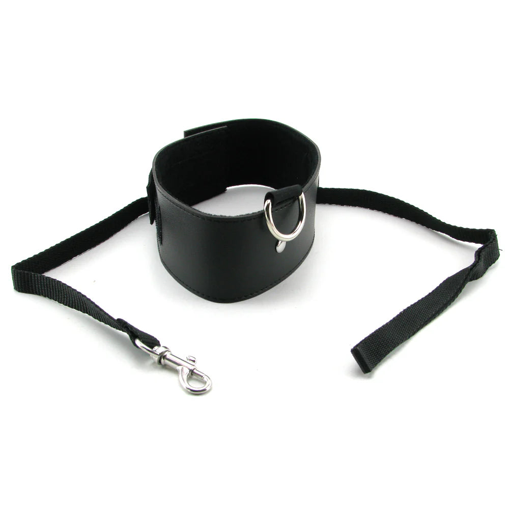 Black Leash and Collar